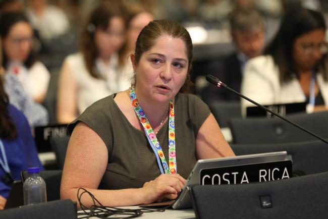 Ana Patricia Villalobos Arrieta, Costa Rica, on behalf of the Independent Alliance of Latin America and the Caribbean (AILAC)