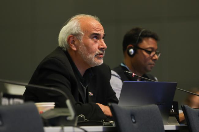 Diego Pacheco, Bolivia, on behalf of Like-Minded Developing Countries (LMDCs)
