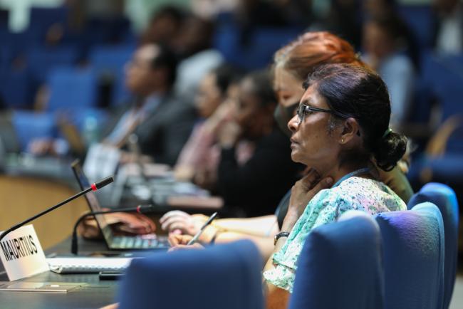 Delegates listen to the proceedings