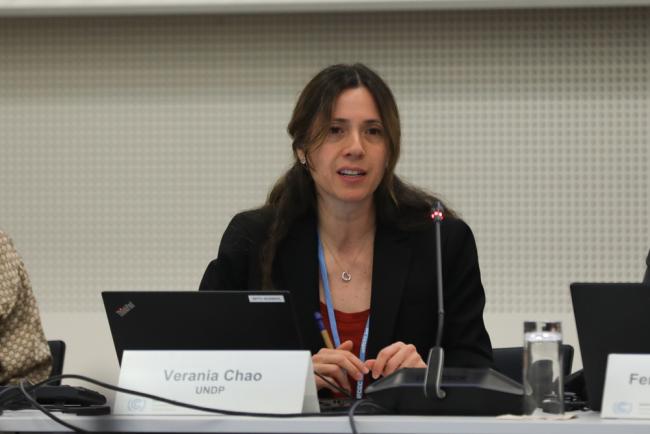 Verania Chao, UN Development Programme (UNDP)