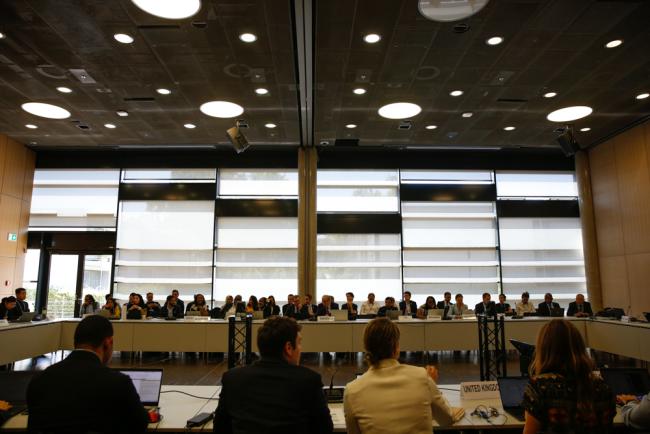 Informal consultations on research and systematic observation 