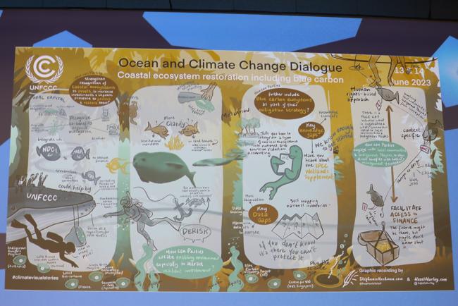 A graphic recording of the discussions on coastal ecosystem restoration including blue carbon
