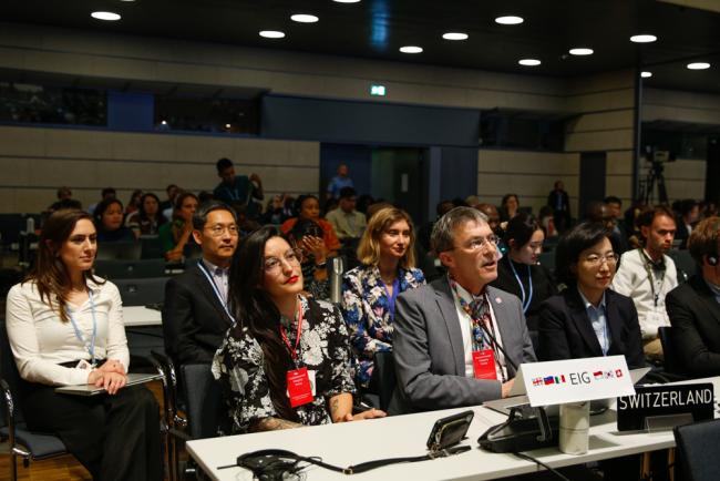All members of the Environmental Integrity Group (EIG) sit together as Franz Perrez, Switzerland, delivers his final statement in the climate process