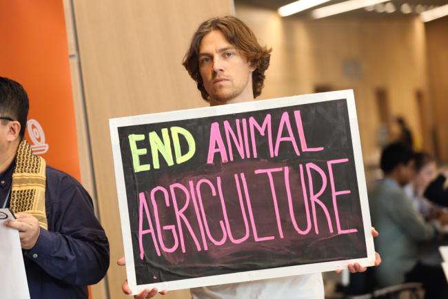 End animal agriculture