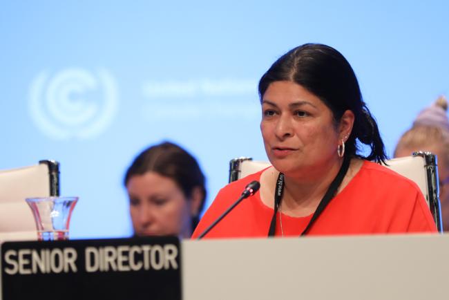 Chhaya Kapilashrami, Senior Director, UNFCCC