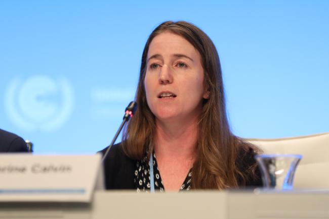 Katherine Calvin, IPCC Author