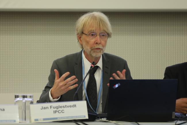 Jan Fuglestvedt, IPCC