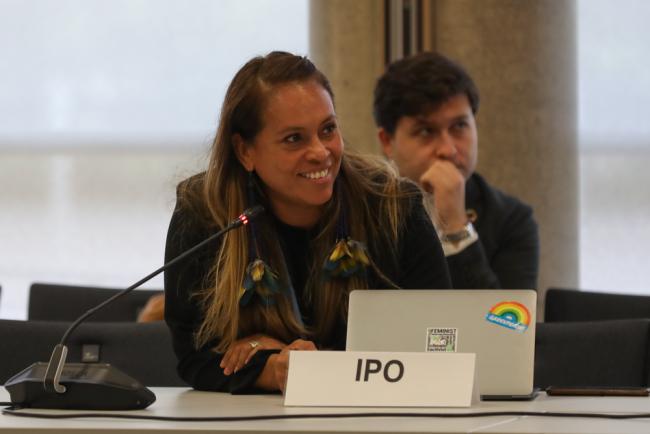 Eileen Delia Mairena Cunningham, Indigenous Peoples Organizations (IPO)