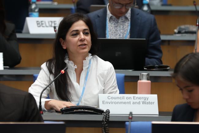 Shikha Bhasin, Council on Energy, Environment, and Water