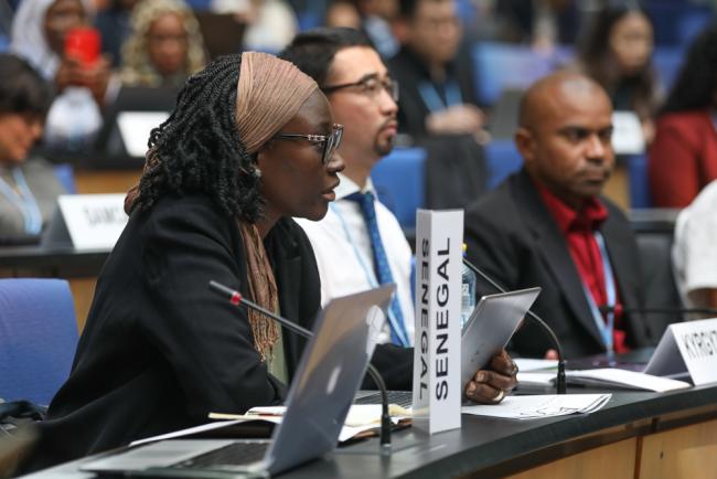 Madeleine Rose Diouf Sarr, Senegal, on behalf of Least Developed Countries (LDCs)