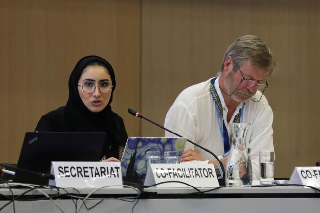 Co-Facilitators Maria Al-Jishi, Saudi Arabia, and Peer Stiansen, Norway