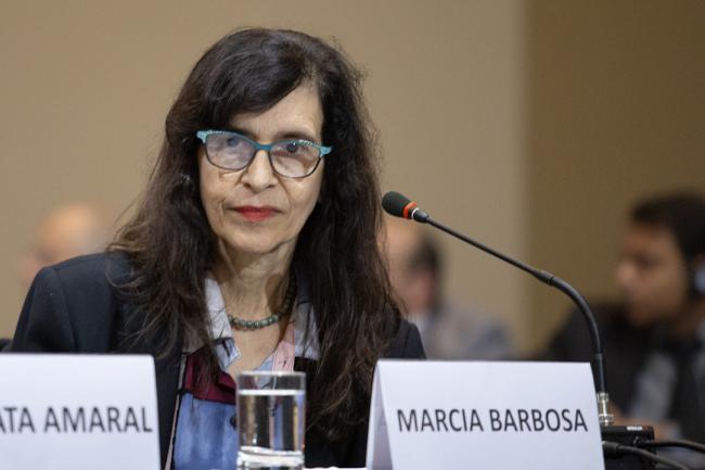 Marcia Barbosa, Vice-Minister, Strategic Policies and Programs, Ministry of Science, Technology, and Innovation, Brazil