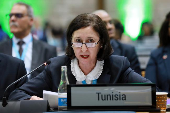 Sarra Zaafrani Zenzri, Minister for Equipment and Housing, Tunisia
