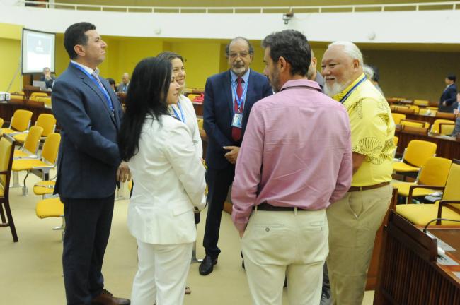 Brazilian delegates meet with observers