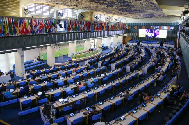 View of the plenary
