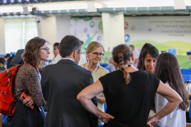 From L-R: Anaïs Valance, France; Imke Thormann, Germany; and Ana Bedmar Villanueva, Spain