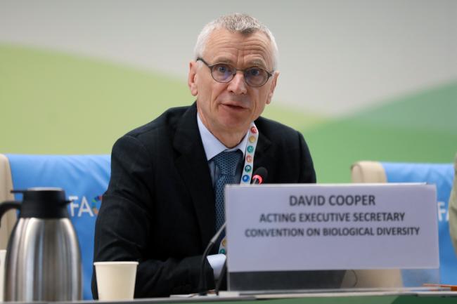 David Cooper, Acting Executive Secretary, CBD
