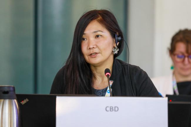 Monica Kobayashi, CBD