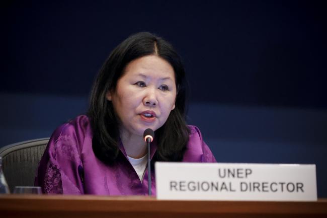 Dechen Tsering, Director, UNEP Regional Office for Asia and the Pacific ...