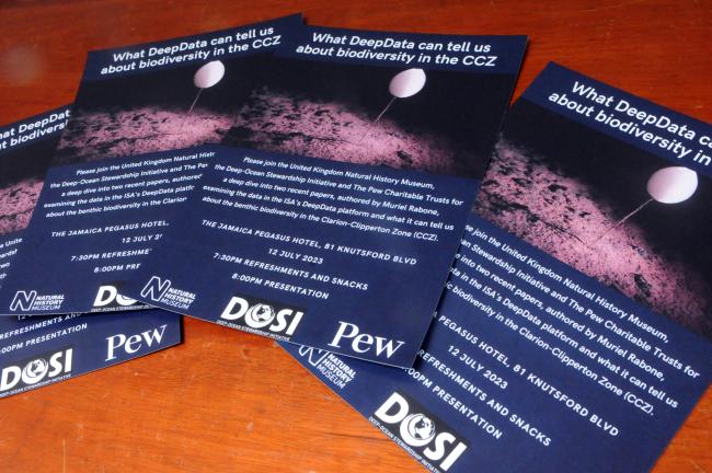 DeepData event flyer