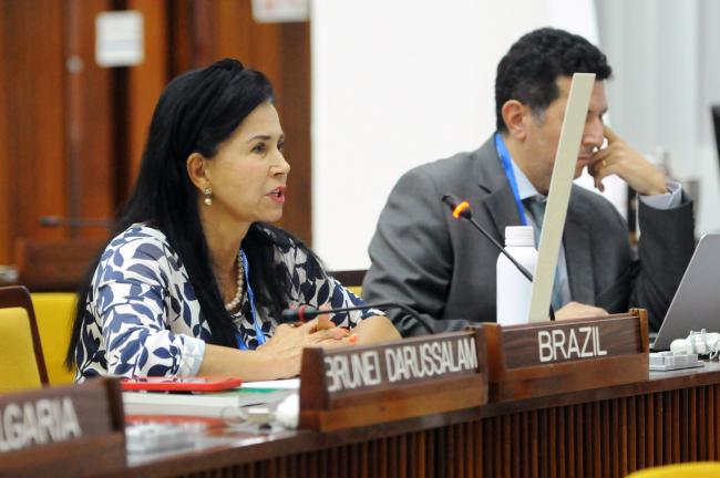 Elza Moreira Marcelino de Castro, Brazil