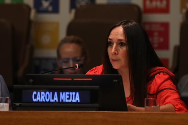 Carola Mejia, Civil Society Financing for Development Group