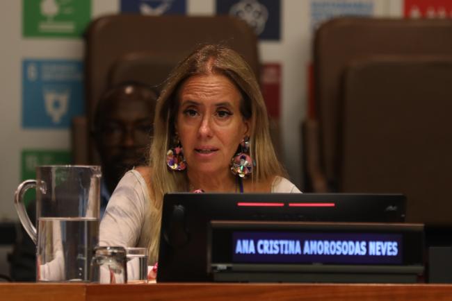 Ana Cristina Amoroso das Neves, Chair, UN Commission on Science and Technology for Development