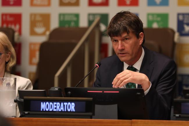 Moderator Johannes Cullmann, Vice-Chair, UN-Water