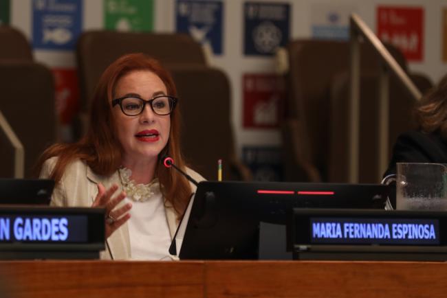 Maria Fernanda Espinosa, Commissioner of Global Commission on the Economics of Water