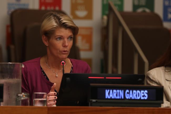 Karin Gardes, Acting Executive Director, Stockholm International Water Institute (SIWI)