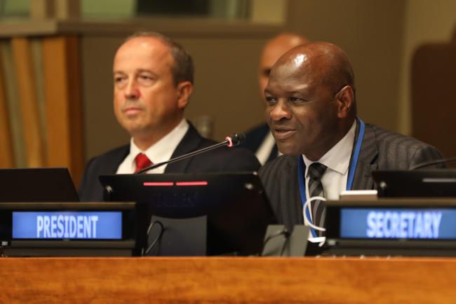 Albert Ranganai Chimbindi, Vice President of ECOSOC, chaired the session on transformation from the ground up