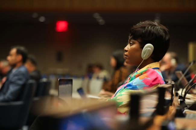 Delegates listen to the interventions