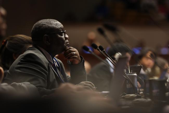 Delegates listen to the interventions