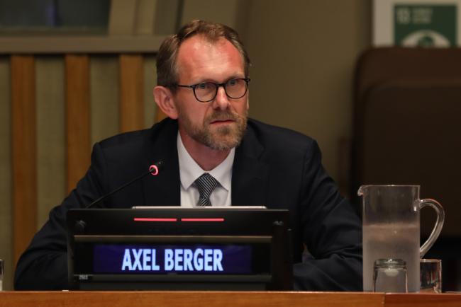 Axel Berger, Interim Deputy Director, German Institute of Development and Sustainability