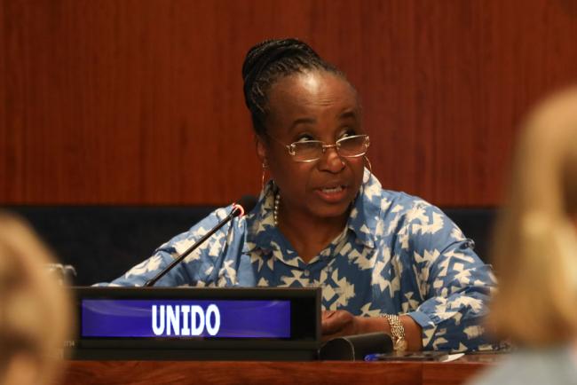 Fatou Haidara, Deputy Director General, UN Industrial Development Organization (UNIDO)