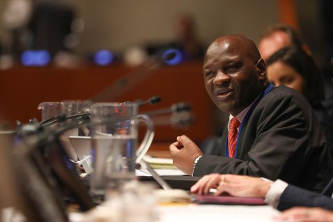 Albert Ranganai Chimbindi, Vice President of ECOSOC 