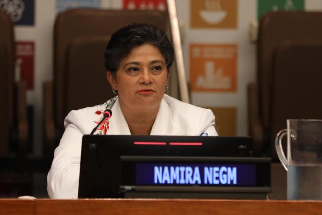 Namira Negm, Director, African Union Migration Observatory