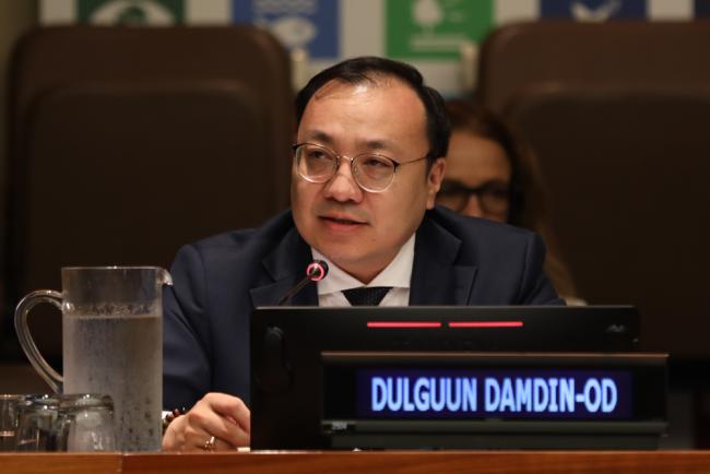 Dulguun Damdin-Od, Executive Director, International Think Tank for Landlocked Developing Countries