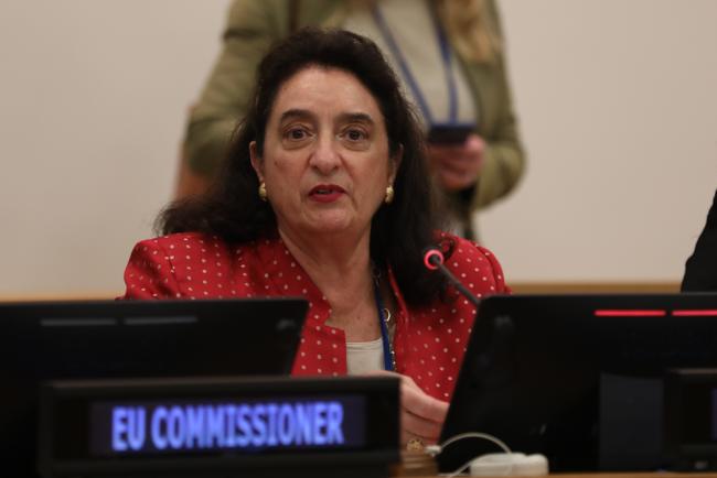 Francesca Spatolisano, Assistant Secretary-General for Policy Coordination and Inter-Agency Affairs, UN Department of Economic and Social Affairs (UNDESA)