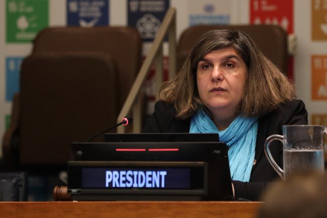 Lachezara Stoeva, President of ECOSOC