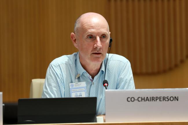 Working Group Co-Chair Michael Ryan