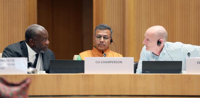 From L-R: Kent Nnadozie, ITPGRFA Secretary; Working Group Co-Chair Sunil Archak; and Working Group Co-Chair Michael Ryan