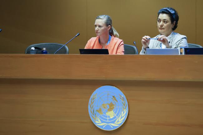 Jana Mašíčková, Czech Republic, and Liana Ghahramanyan, Armenia, facilitating the informal group on very short-lived substances (VSLS)