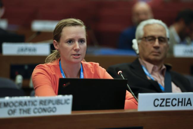 Jana Mašíčková, Czech Republic, reporting back from the informal group on very short-lived substances (VSLS)