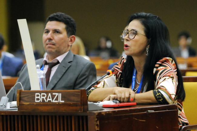 Jose Roberto Gioia Alfaia Junior and Elza Moreira Marcelino de Castro, Brazil