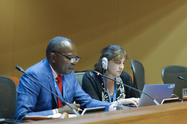 Leslie Smith, Grenada, Cindy Newberg, US, facilitatingthe contact group on terms of reference for the 2026 Quadrennial assessment 