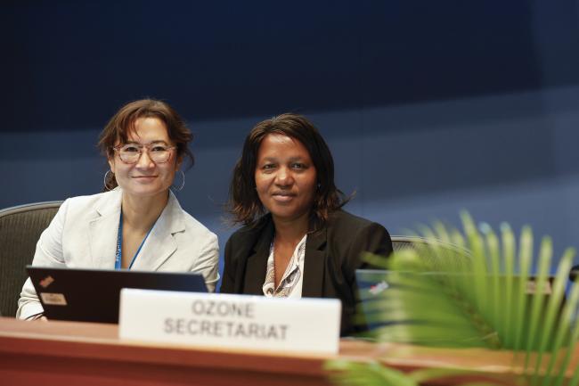 Liazzat Rabbiosi and Martha Mulumba, Ozone Secretariat 