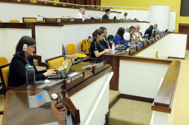 Observers during the afternoon session