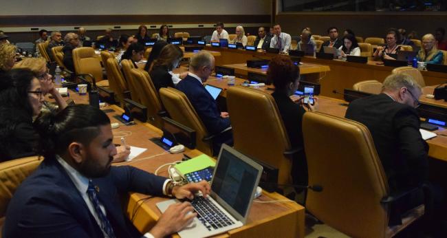 Negotiators - SDG Synergies