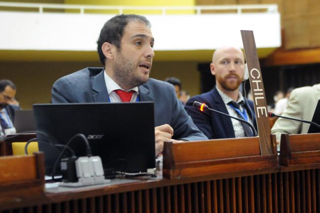 Salvador Vega Telias, Chile, Co-Facilitator of the Working Group on institutional matters